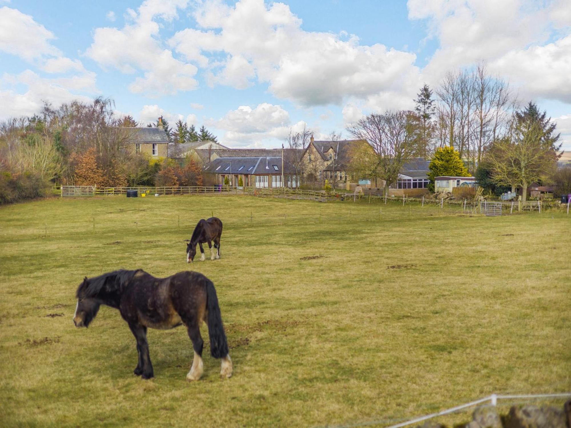 Appletree Cottage Kirkton of Tealing Exterior photo